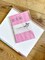 Big Plans Pink Stripe Notepad - 4x6 Inches (*Notepad Only*) (NPE004)